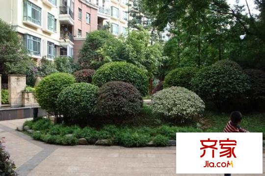 艾詩林根社區(qū)外景圖 