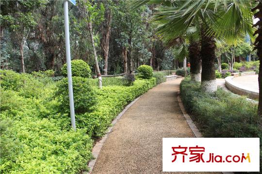 興港瓏灣周邊配套 公園一角