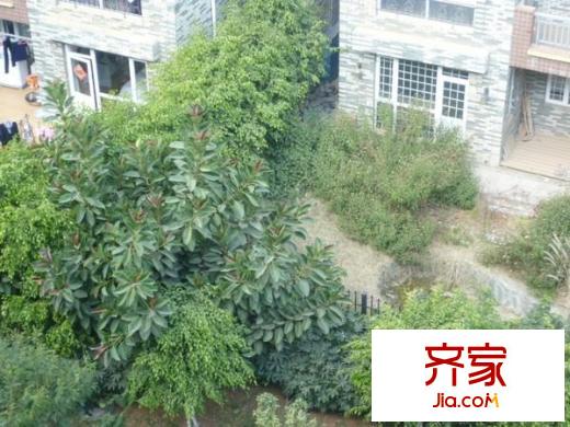 世紀(jì)城傲春苑外景圖傲春苑 