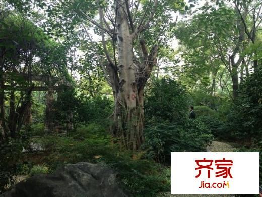 德瀛華府外景圖 