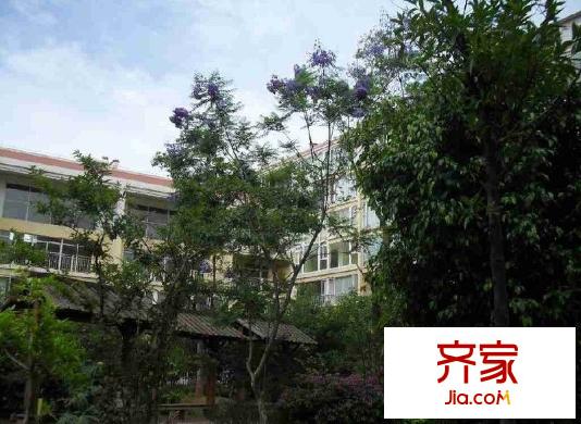 天澤園小區(qū)外景圖 