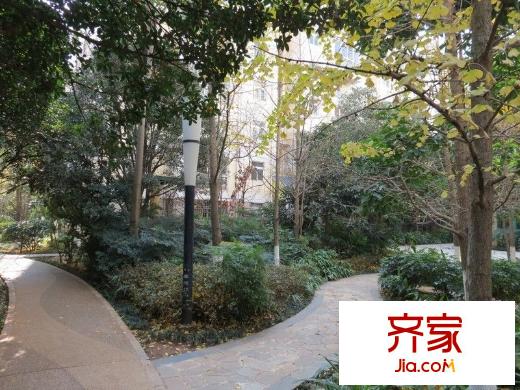 銀海森林外景圖 