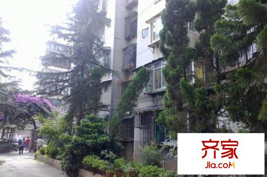 大樹營市政府小區(qū)外景圖 