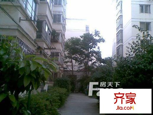 大樹營市政府小區(qū)外景圖 