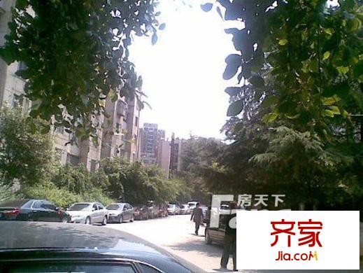 大樹營市政府小區(qū)外景圖 