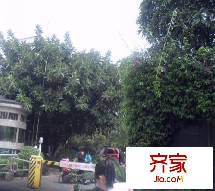 綠色家園外景圖 