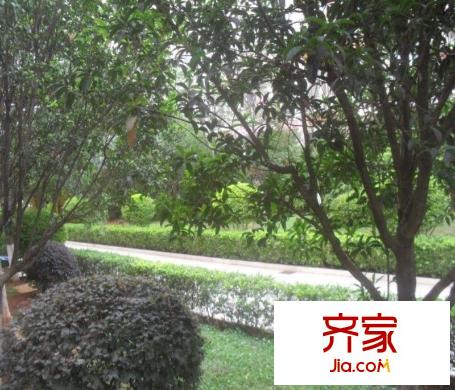 綠色家園外景圖 
