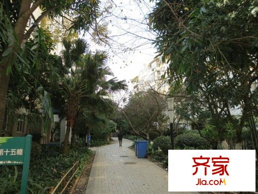 銀海森林外景圖 