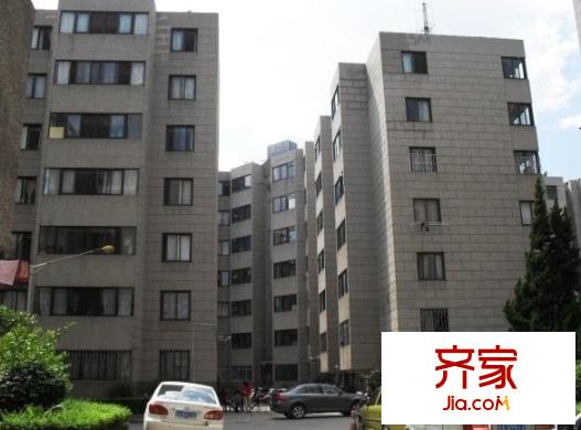大樹營市政府