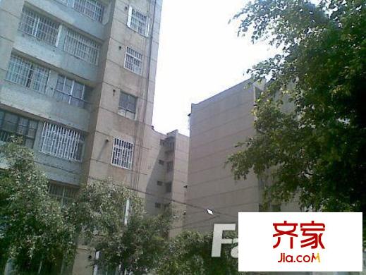 大樹營市政府小區(qū)外景圖 