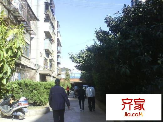 新迎北區(qū)外景圖 
