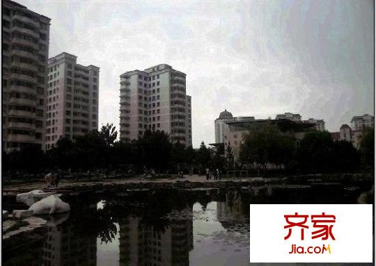 金安小區(qū)外景圖 