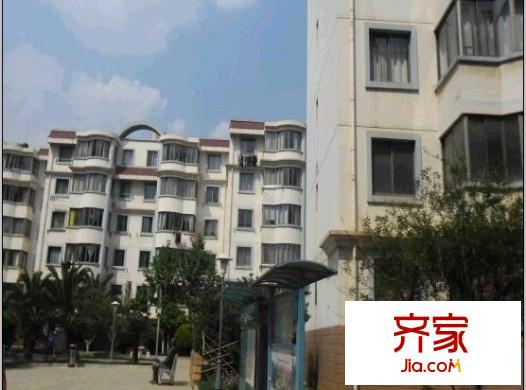 金安小區(qū)外景圖 