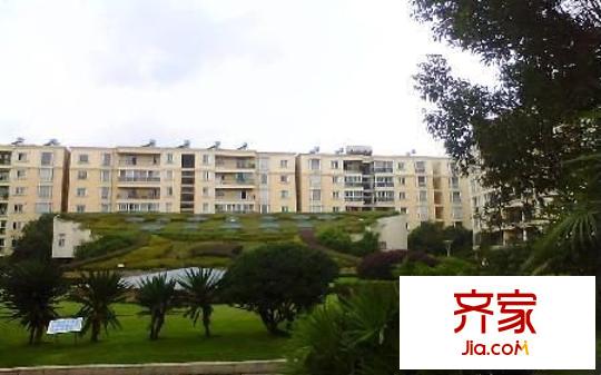 金星園丁小區(qū)外景圖 