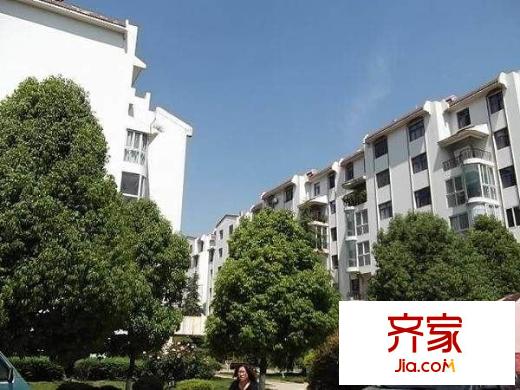 金星園丁小區(qū)外景圖 