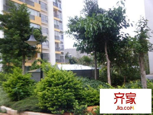 彩云間花園外景圖 
