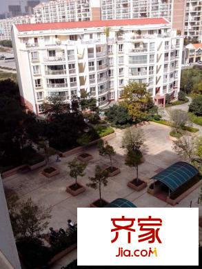 金楓苑外景圖 