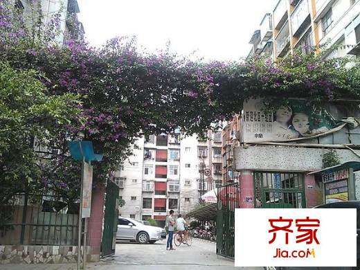 新迎北區(qū)外景圖 