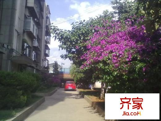 新迎北區(qū)外景圖 