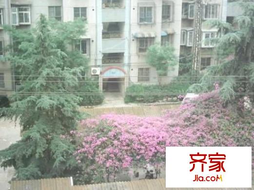 新迎北區(qū)外景圖 
