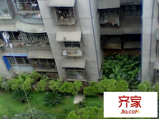 新迎北區(qū)外景圖 