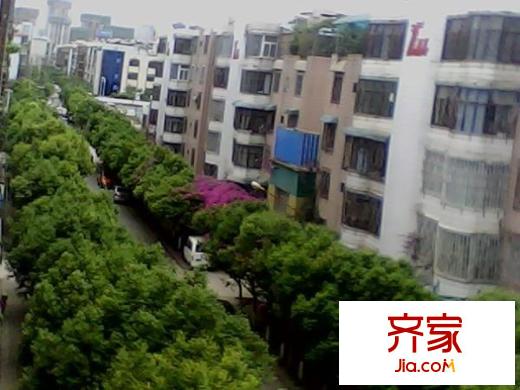 新迎北區(qū)外景圖 