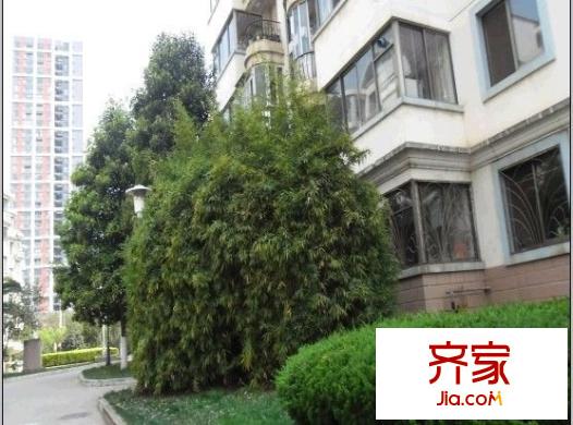 金安小區(qū)外景圖 