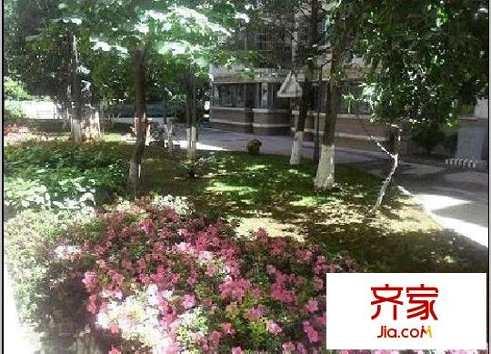金安小區(qū)外景圖 