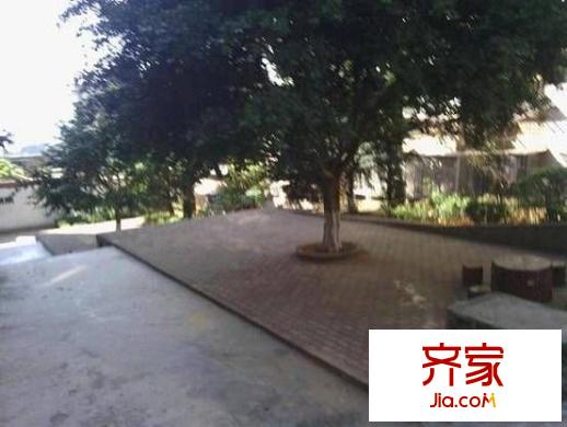 金沙小區(qū)外景圖 