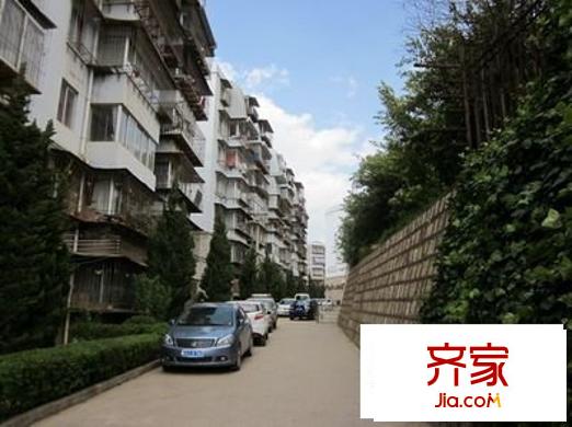 金沙