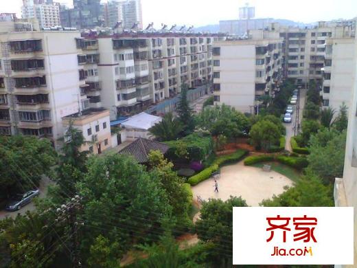 金星園丁小區(qū)外景圖金星園丁一期 