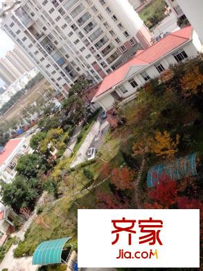 金楓苑外景圖 