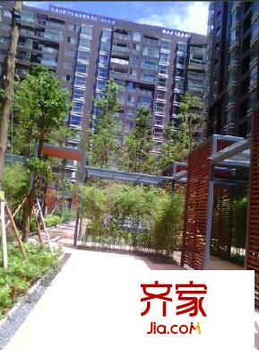 香樟俊園外景圖 