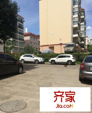 金林碧水外景圖 