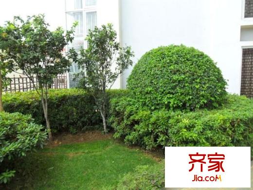 尚都國際外景圖 