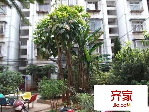 金沙小區(qū)外景圖 