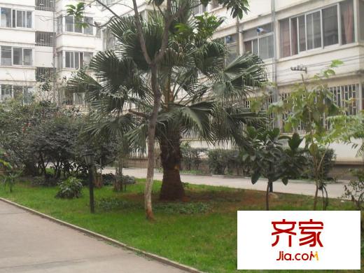 云山小區(qū)外景圖 