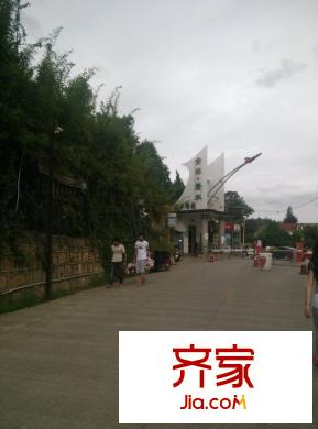 金林碧水外景圖 