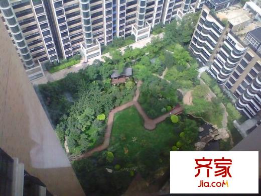 楓藍(lán)國際外景圖 