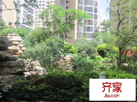 楓藍(lán)國際外景圖 