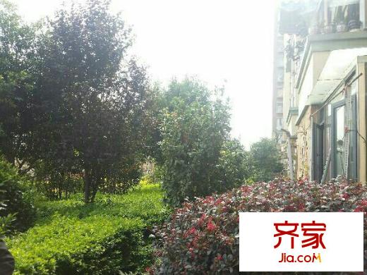 新亞洲體育城星匯園外景圖 
