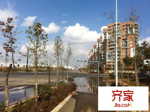 楓林盛景外景圖 