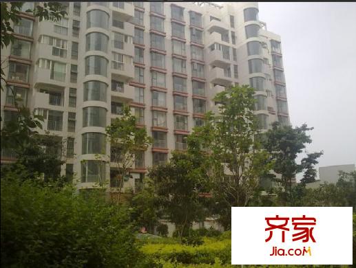 楓林盛景外景圖 