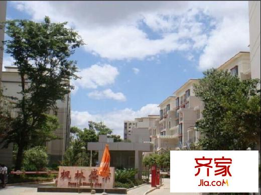 楓林盛景外景圖 