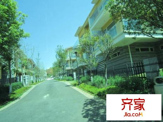 世博生態(tài)城別墅外景圖 