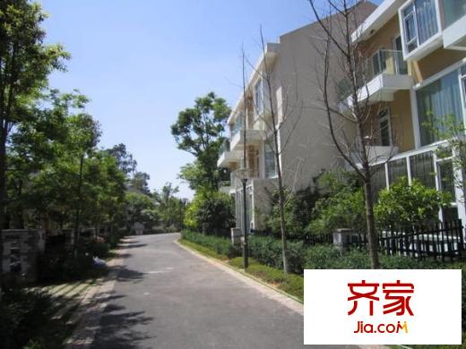 世博生態(tài)城別墅外景圖 