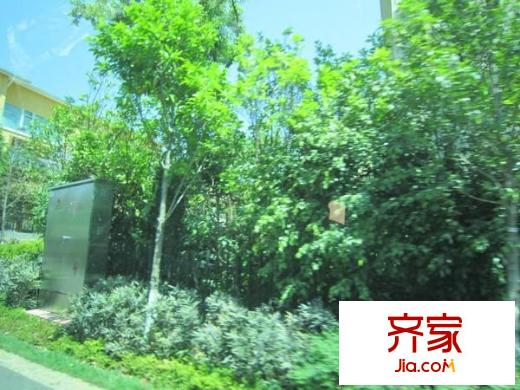 世博生態(tài)城別墅外景圖 