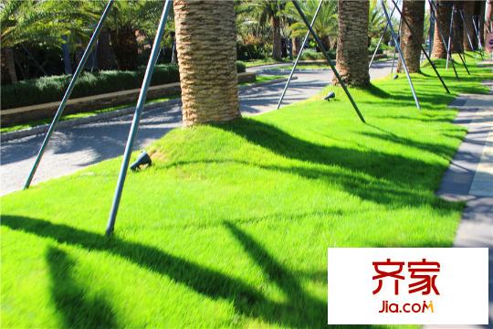 中航?云璽大宅小區(qū)綠化（2015-10-26）