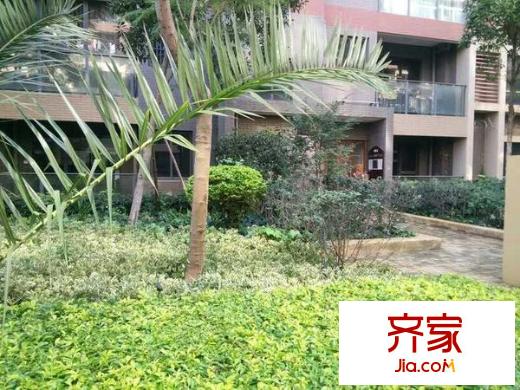 新亞洲體育城星匯園外景圖 