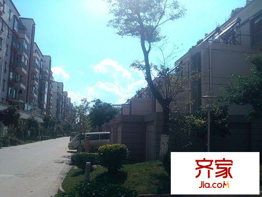 楓林盛景外景圖 